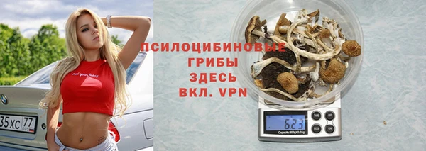 a pvp Аркадак