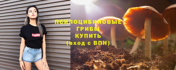 a pvp Аркадак