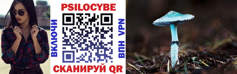 Псилоцибиновые грибы Magic Shrooms  KRAKEN tor  Берёзовский 